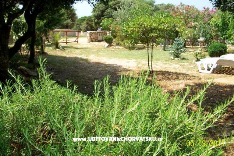 Bungalow Petrović – foto 11