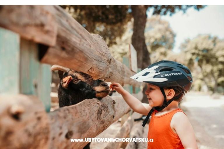 Mobile Home Luna - Campeggio Straško – foto 10