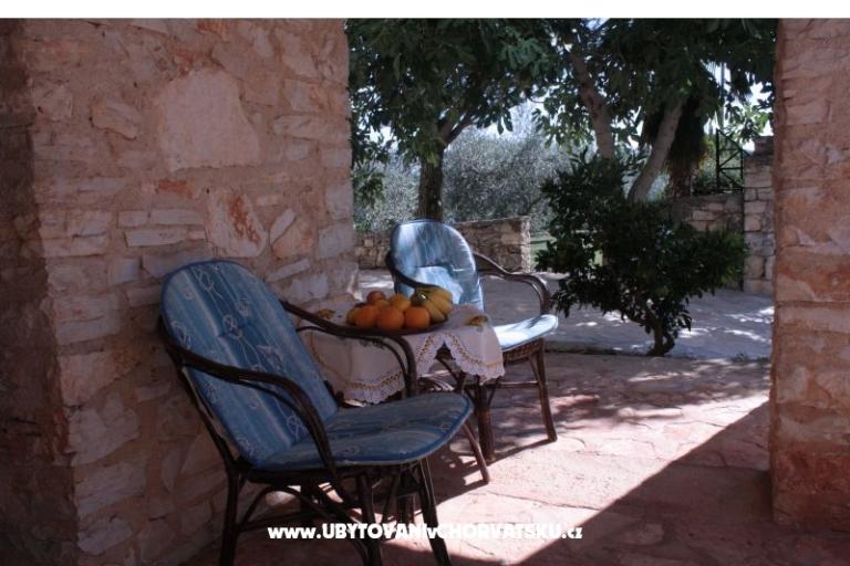 Sanja Appartamenti Novigrad – foto 11