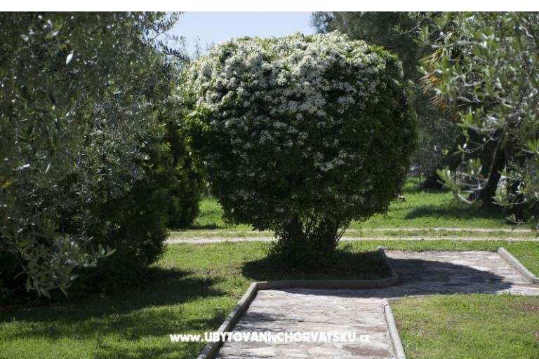 Sanja Appartamenti Novigrad – foto 3