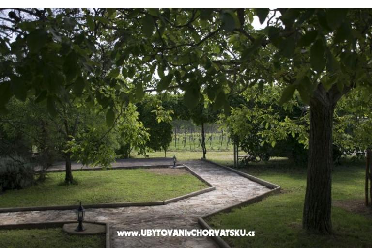 Sanja Appartamenti Novigrad – foto 7