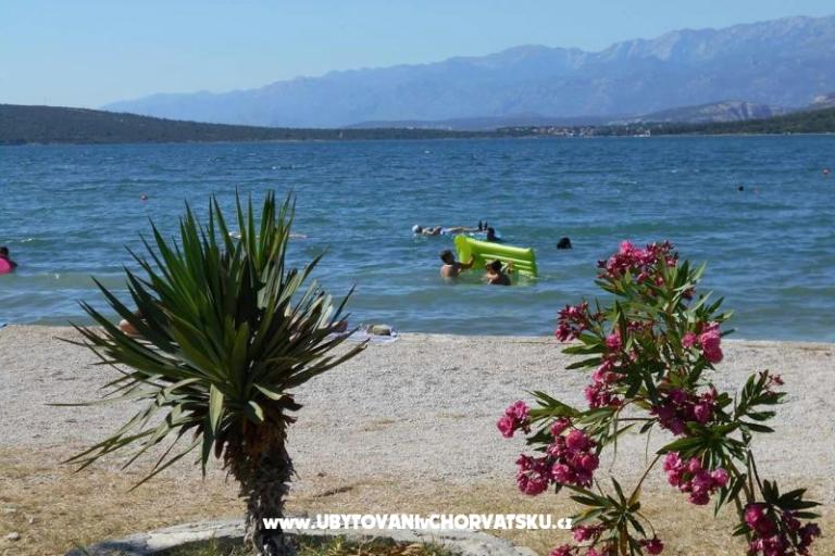 Appartamento Dedi – foto 9