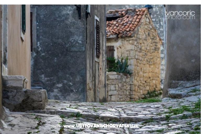 Appartamenti Ivo – foto 14
