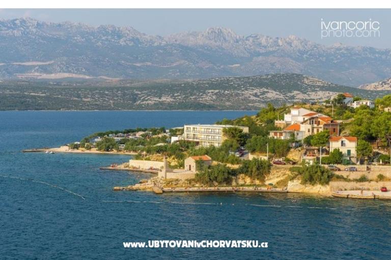 Appartamenti Ivo – foto 6