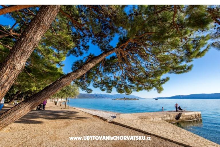 Appartamenti Pejaković na moru – foto 12