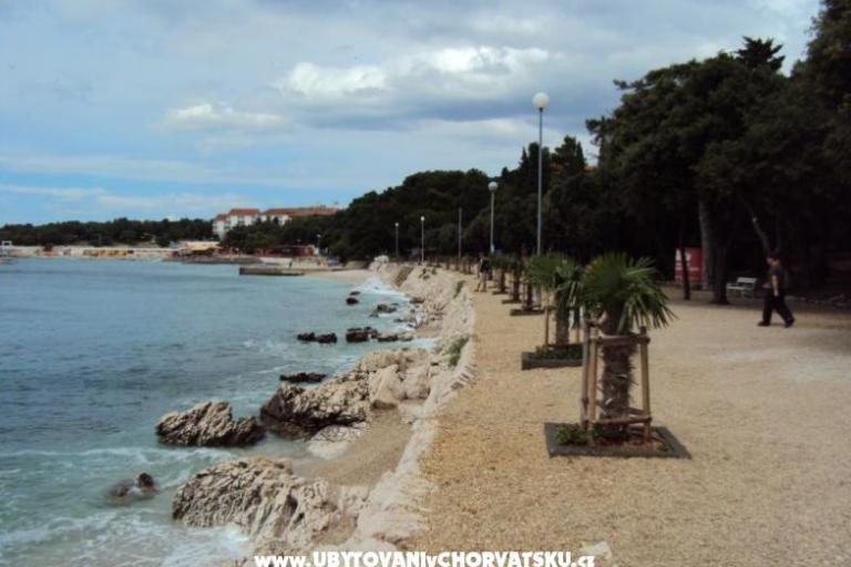 Zeleni gaj rooms & apartment – foto 2