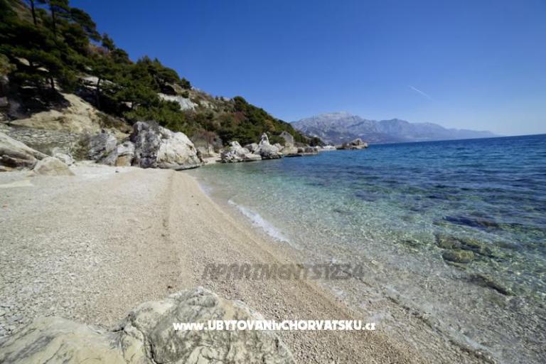Appartamenti 1234 – foto 10