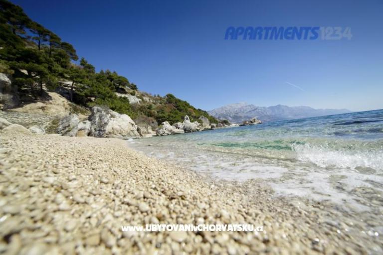 Appartamenti 1234 – foto 11