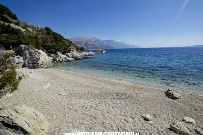 Appartamenti 1234 – foto 8