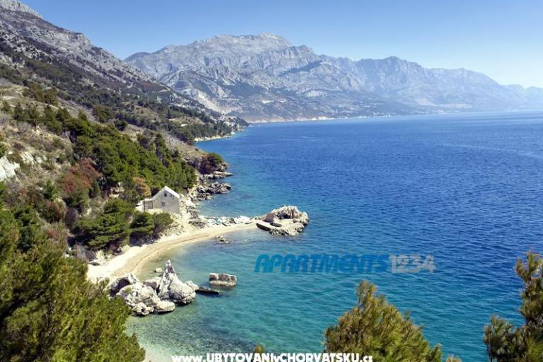 Appartamenti 1234 – foto 9