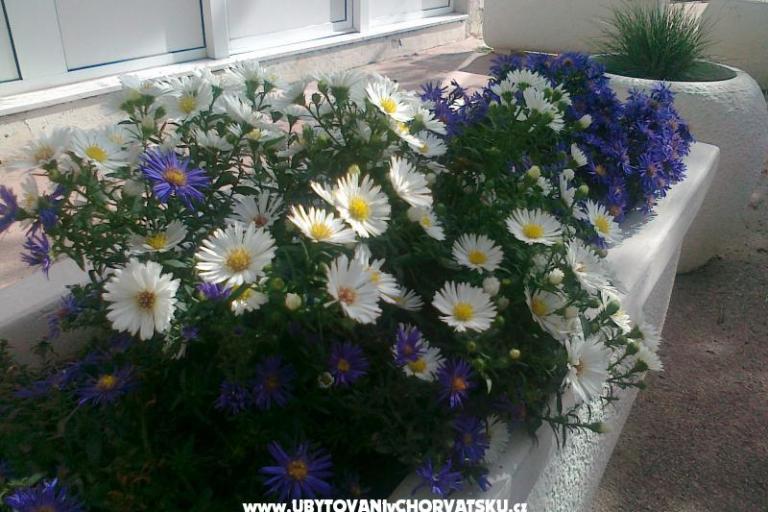 Appartamento ANKA S. – foto 8