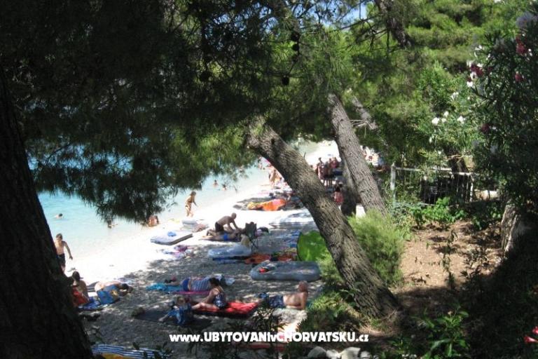Appartamento Irena  – foto 12
