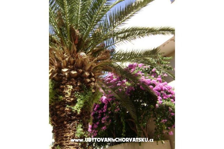 Appartamento Mia – foto 11