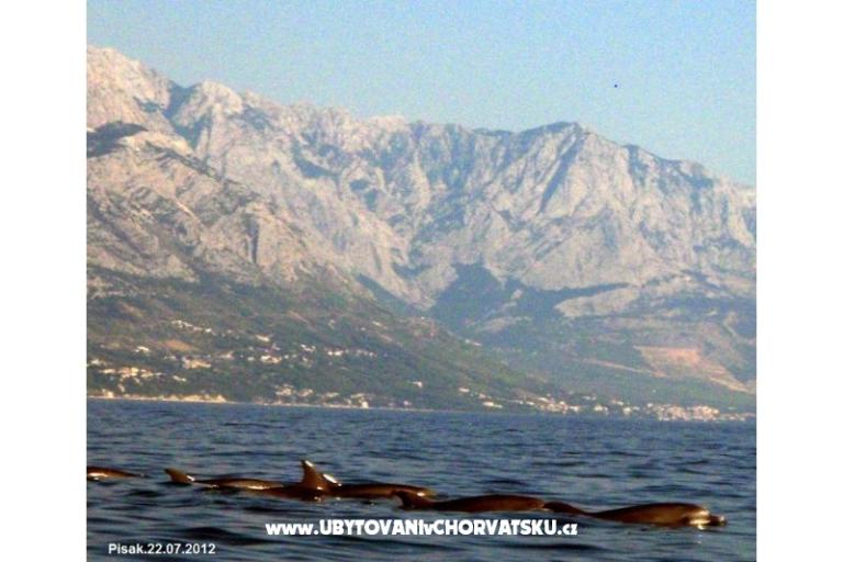 Appartamenti  MARICA – foto 17
