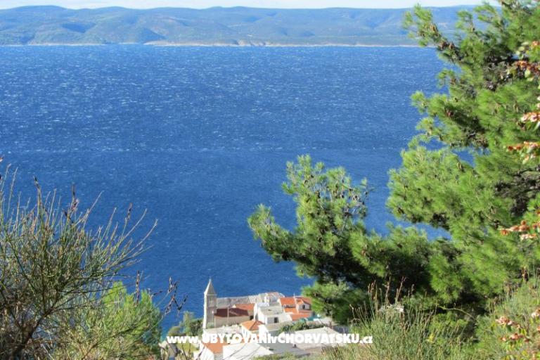 Appartamenti  MARICA – foto 23