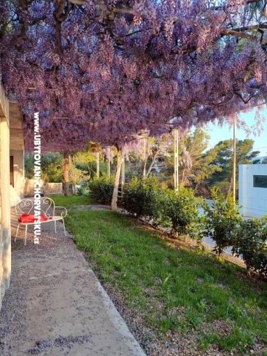 Appartamenti AGAVA – foto 28