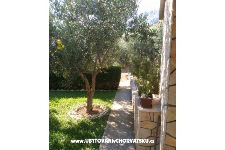 Appartamenti Draga – foto 7