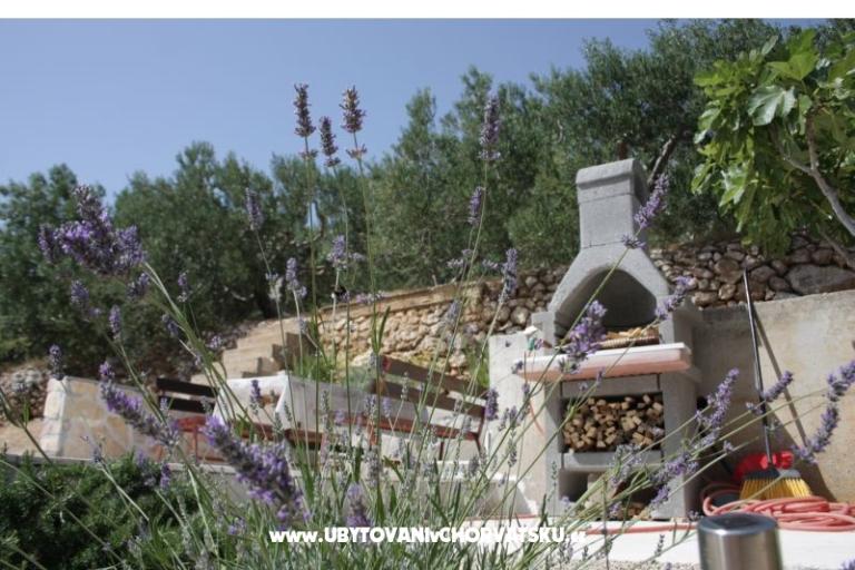 Appartamenti Dragana – foto 10