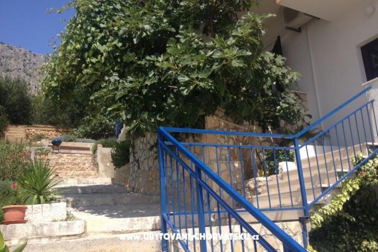 Appartamenti Dragana – foto 14
