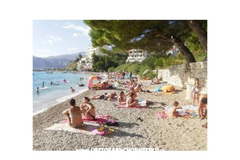 Appartamenti Gala – foto 8