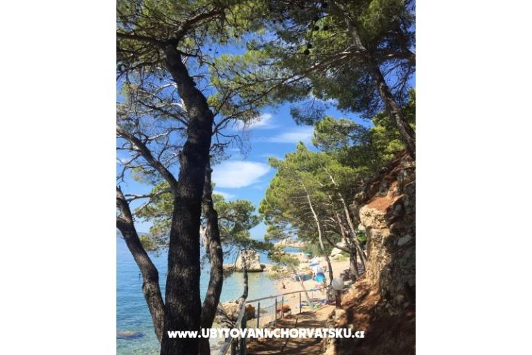 Appartamenti Iko – foto 16