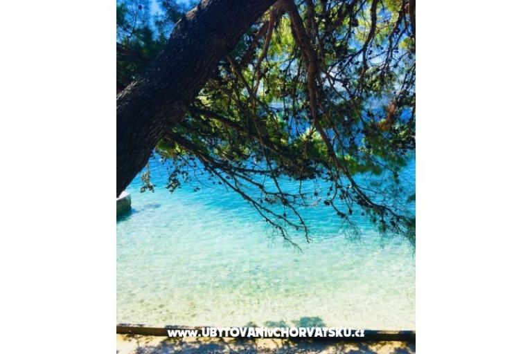 Appartamenti Iko – foto 8