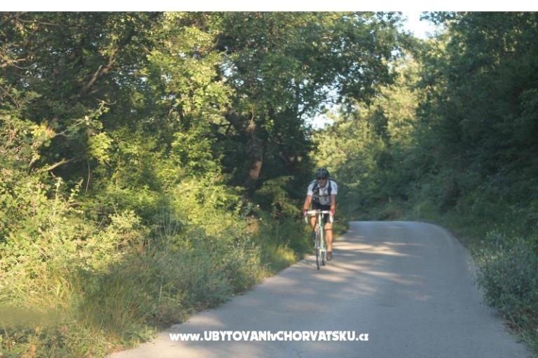 Appartamenti Bašić – foto 16