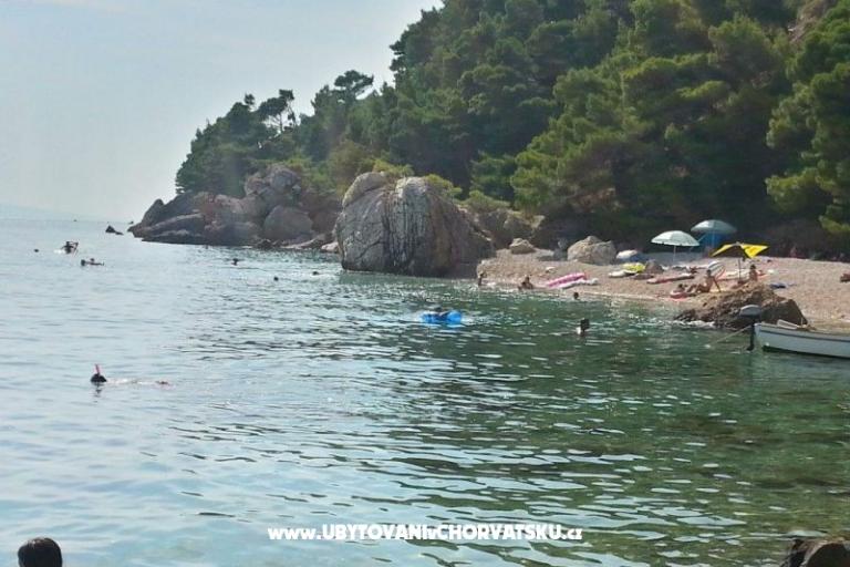 Appartamenti Juričić Pisak – foto 17