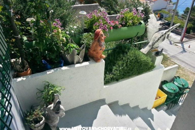 Appartamenti Juričić Pisak – foto 2
