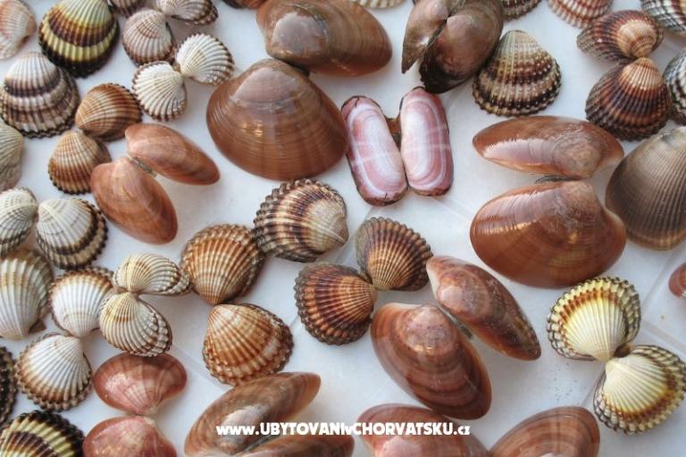 Appartamenti Kaktus – foto 11