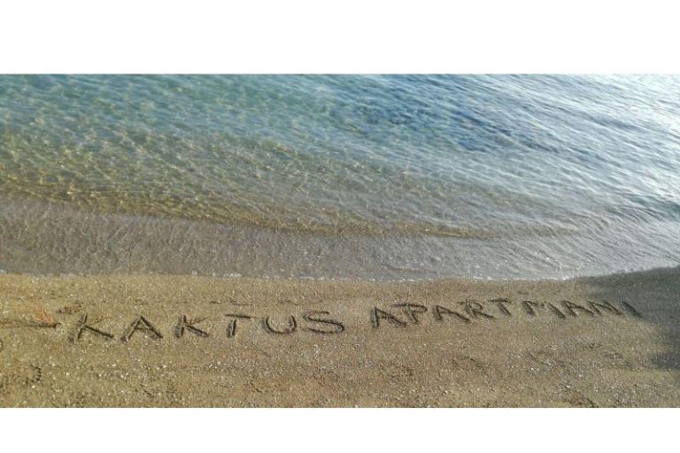 Appartamenti Kaktus – foto 8