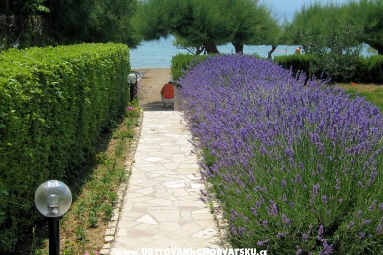 Appartamenti Lavanda – foto 3