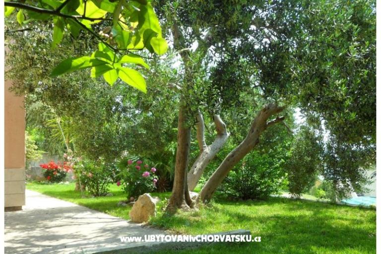 Appartamenti Maja – foto 3