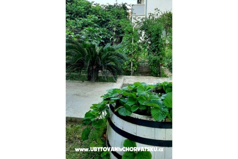 Appartamenti Martić – foto 7