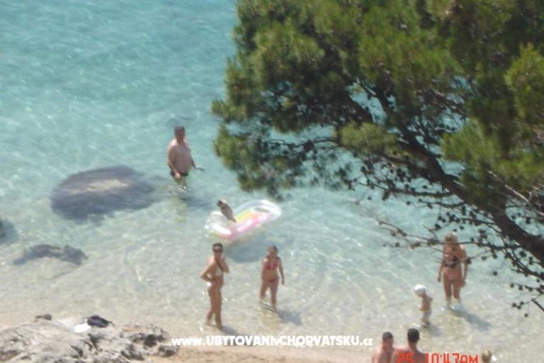 Appartamenti Mira – foto 9