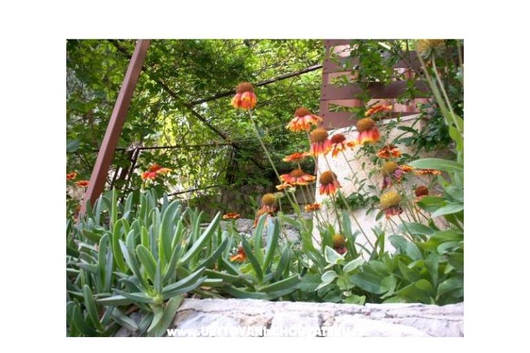 Appartamenti Mirjana – foto 11