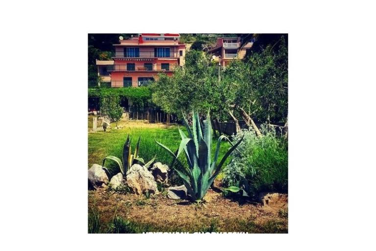Appartamenti Miro, Duće – foto 7