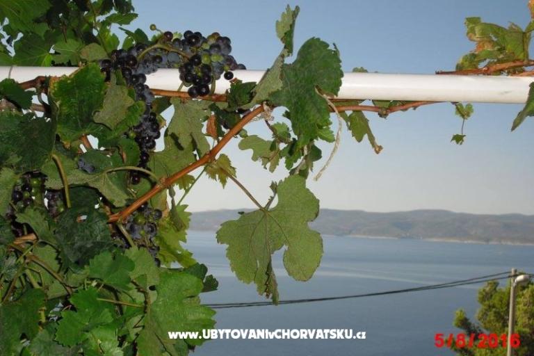Appartamentots More ***Marušići – foto 10