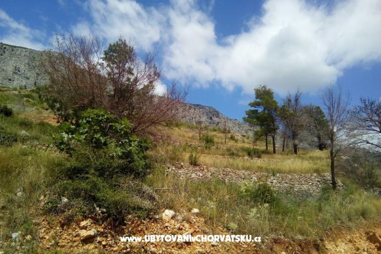 Appartamenti Nikola – foto 5