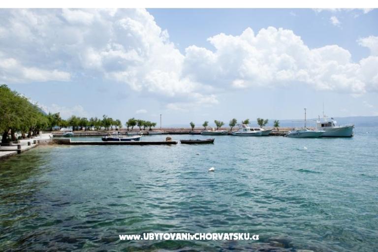 Appartamenti Pavlović Duće – foto 13