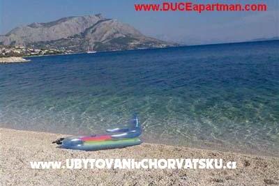 Tabak  - DuceAppartamento.com – foto 16