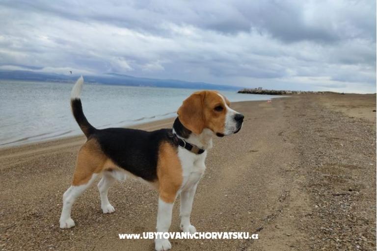 Appartamenti Tomasović Omiš – foto 17