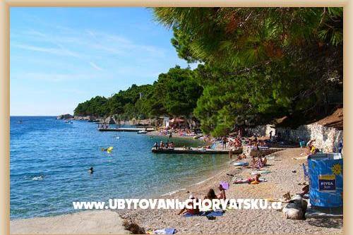 Appartamenti Villa Roza – foto 15