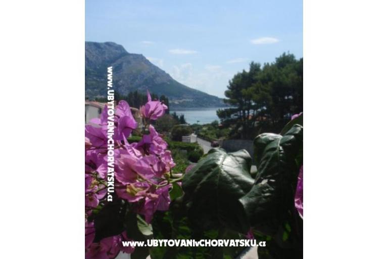 Appartamenti Vinka Saric – foto 2