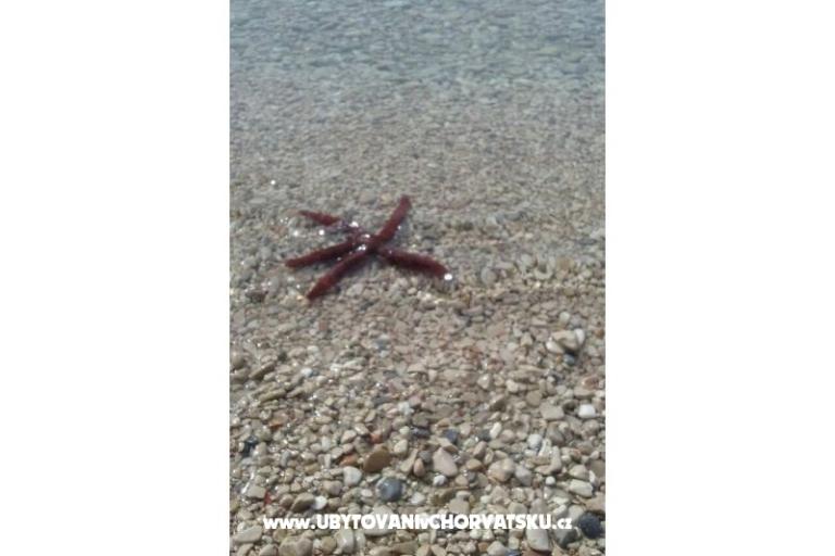 Appartamenti Višnja – foto 40