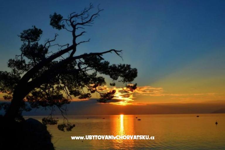 Appartamentomate omiš – foto 17