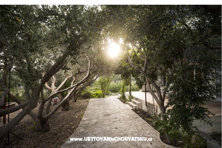 Appartamento Toni – foto 3