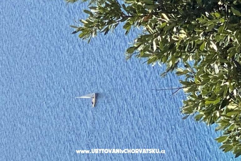 Appartamenti Bona fide – foto 10