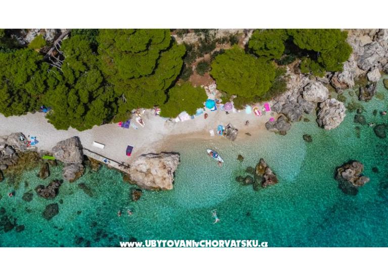 Appartamenti Bosiljka – foto 8
