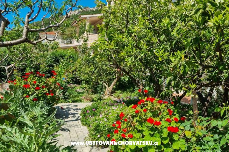 Appartamenti Diridonda – foto 43